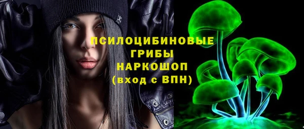 не бодяженный Новозыбков