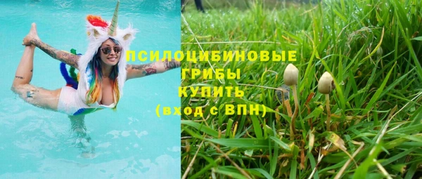 ПСИЛОЦИБИНОВЫЕ ГРИБЫ Яровое