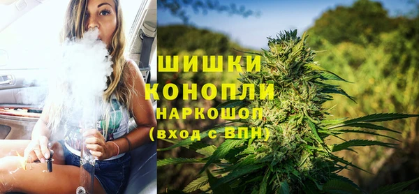 не бодяженный Новозыбков