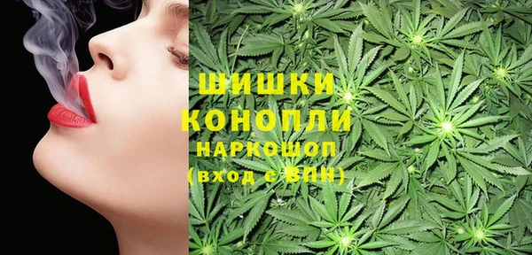 не бодяженный Новозыбков