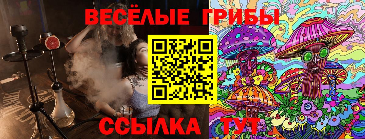 Галлюциногенные грибы GOLDEN TEACHER  где купить наркоту  Белогорск  Вход с VPN 