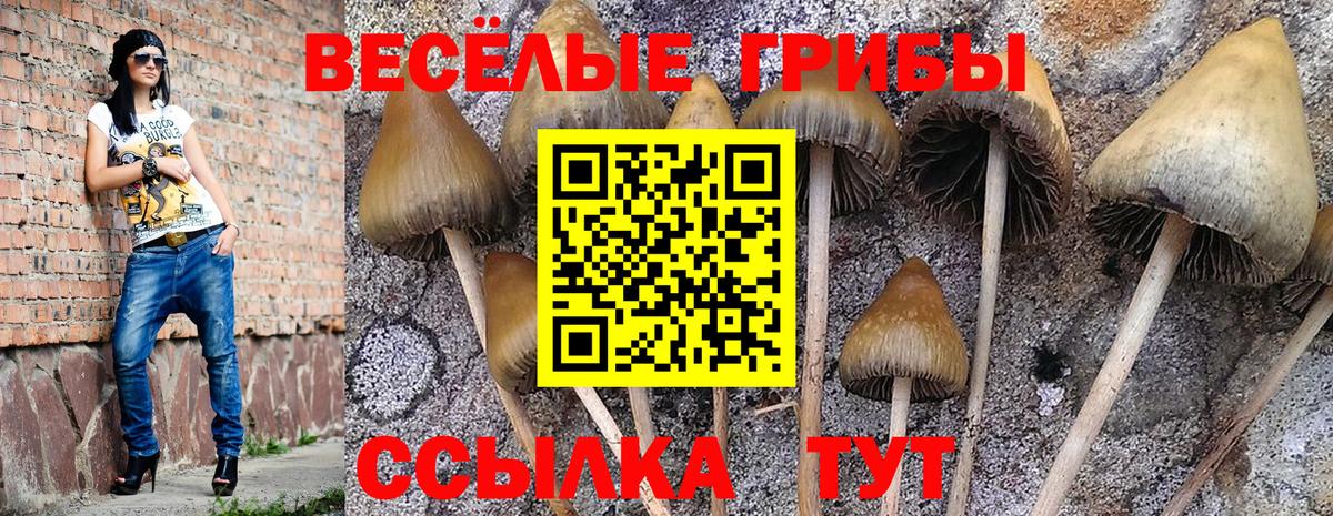 Псилоцибиновые грибы прущие грибы Белогорск